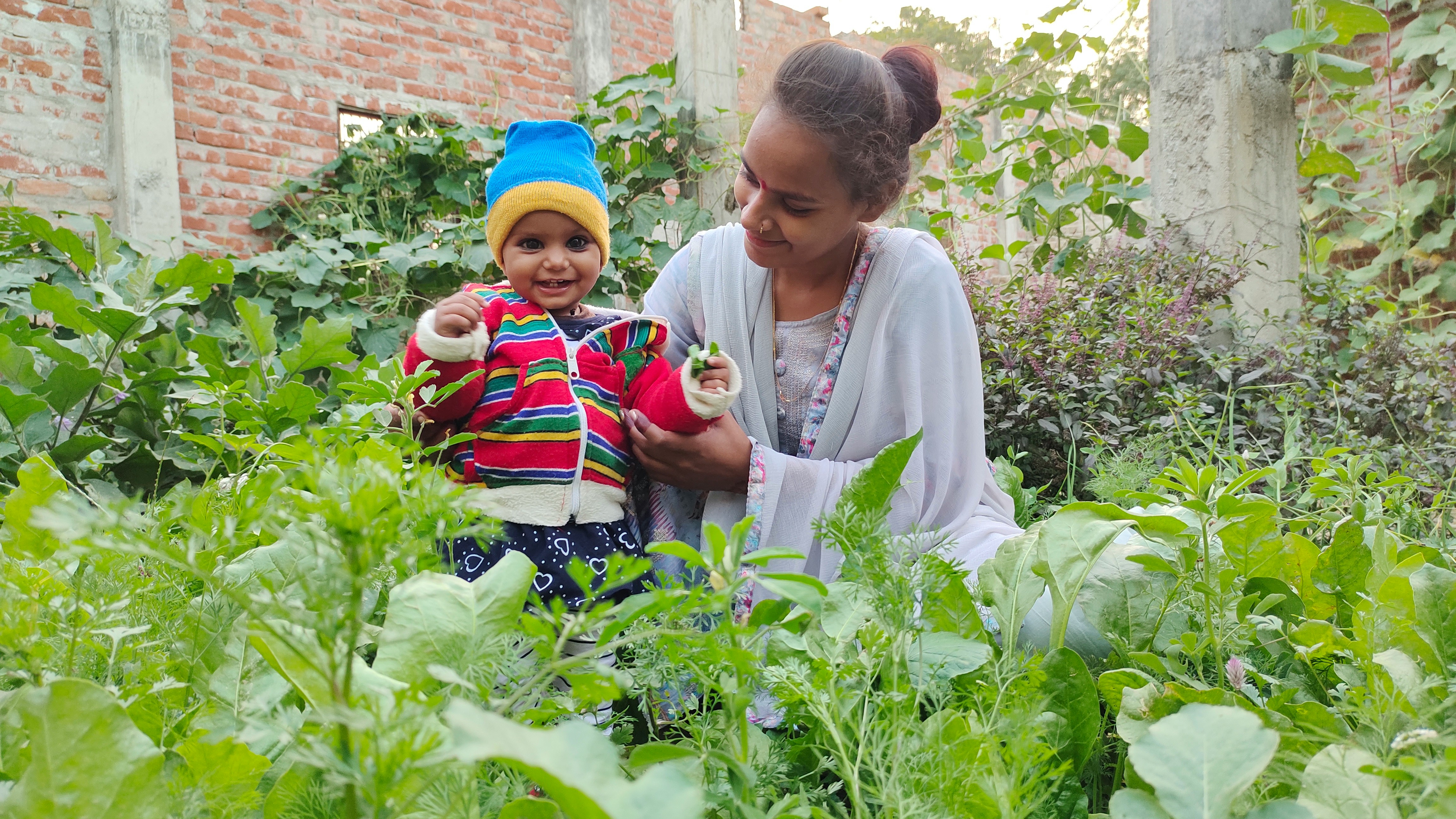 Sustainable Farming Education